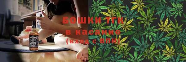 дурь Гусиноозёрск