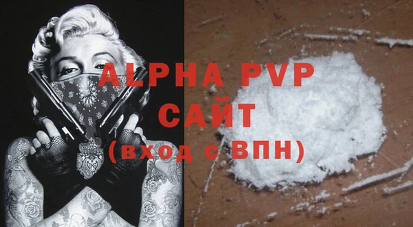 гашик Шали