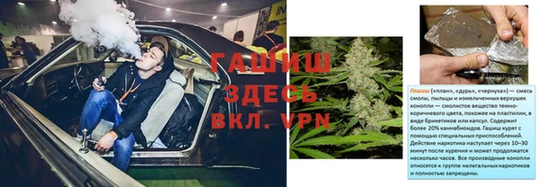 гашик Шали