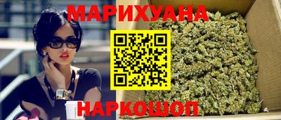 сатива Гусиноозёрск