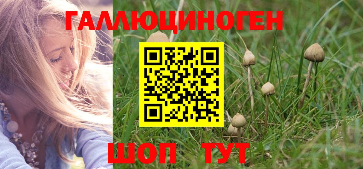 Псилоцибиновые грибы Psilocybe  Вход с VPN  Псилоцибиновые грибы мухоморы  Мценск 